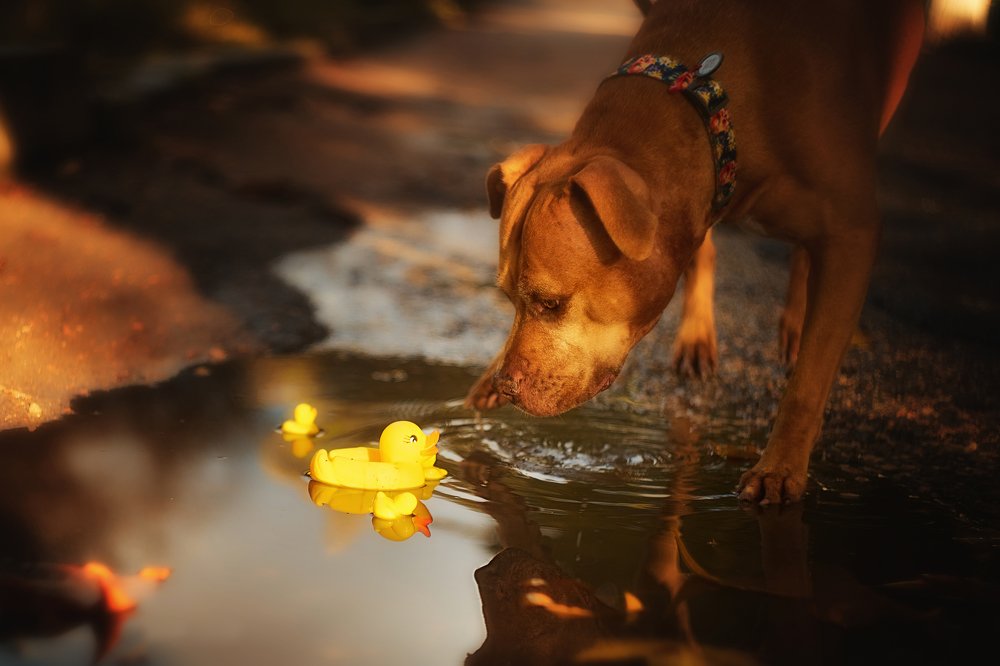 Photograph by Ирина Корх