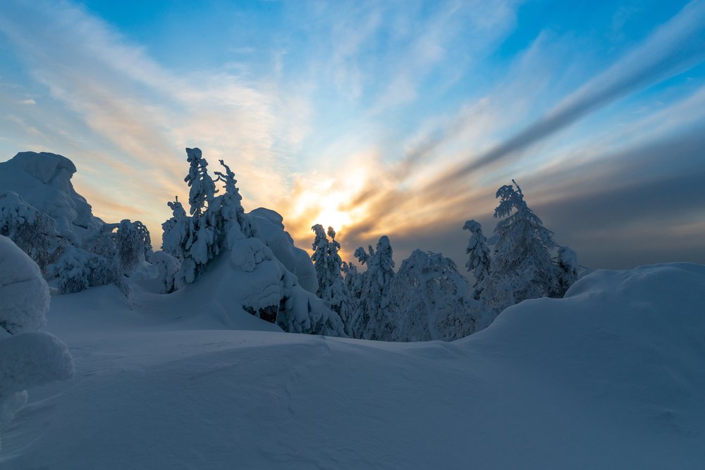 Photograph by Сергей Зубенин