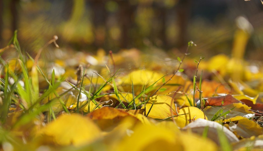 Photograph by Клоди Власова