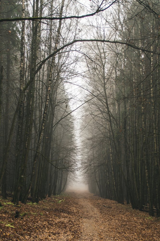 Photograph by Артем Полинин