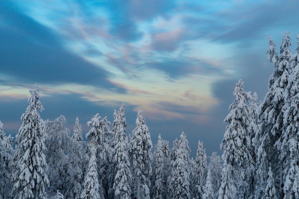 Photograph by Сергей Зубенин