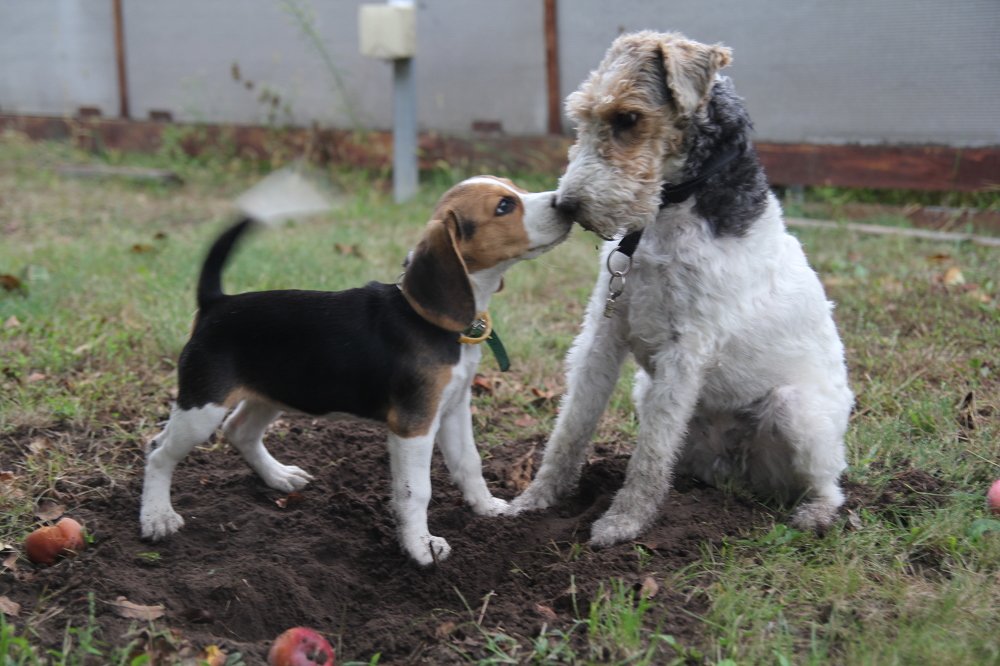 Photograph by Инга Крыжановская