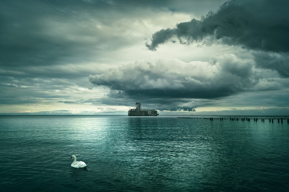 Photograph by Olga Martynska