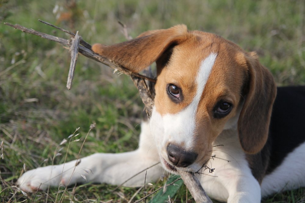 Photograph by Инга Крыжановская