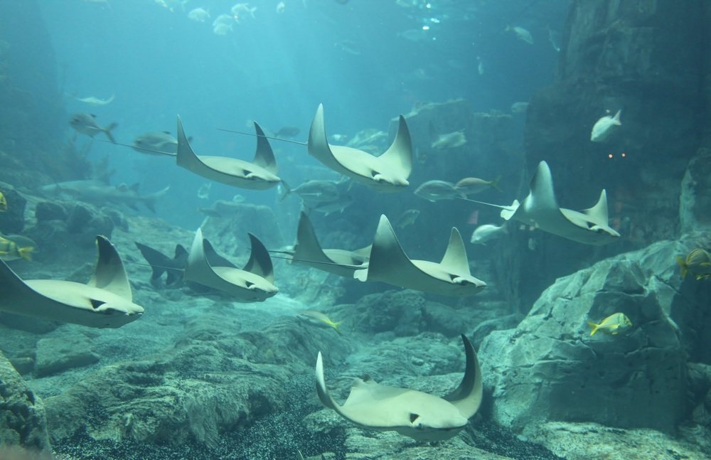 Photograph by Eylem Barış