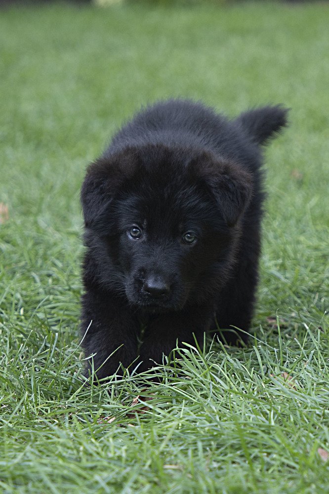 Photograph by Екатерина Вивюрская