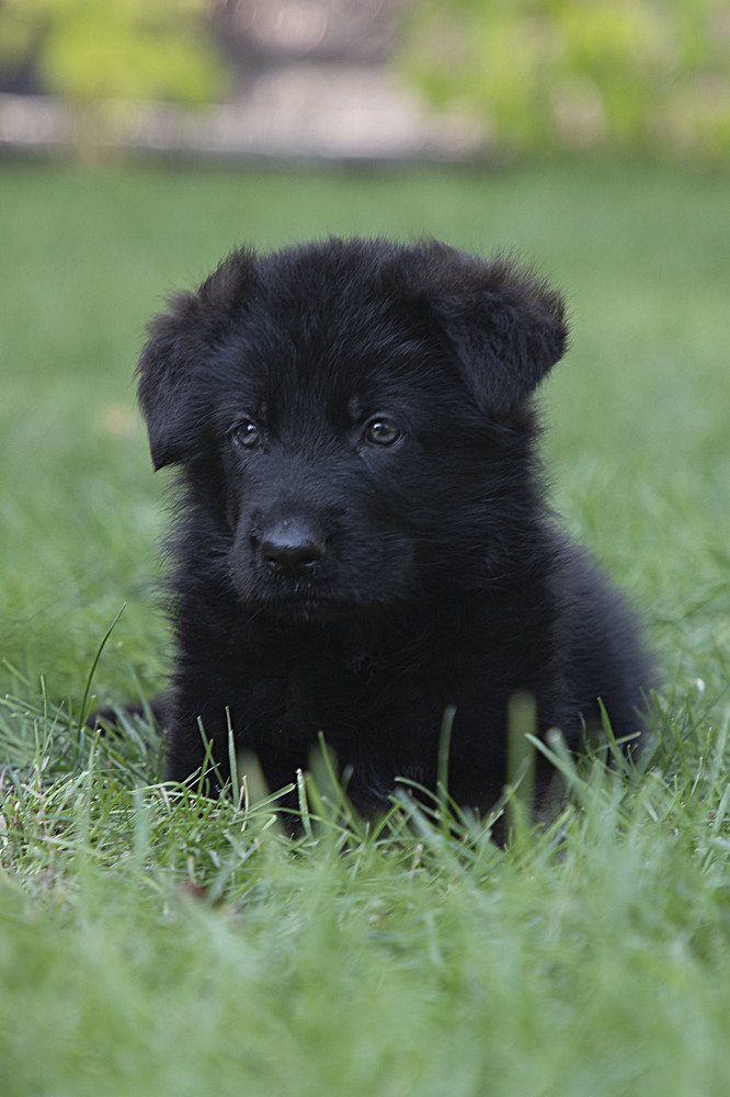 Photograph by Екатерина Вивюрская