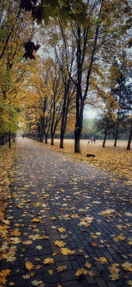 Photograph by Алексей Писаренко