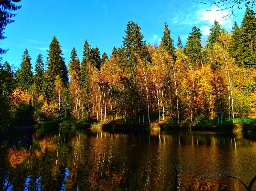 Extravaganza of color