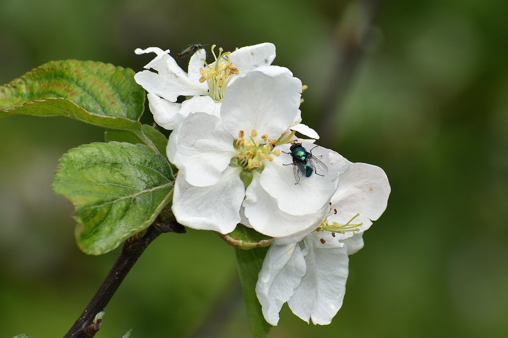 Photograph by Татьяна Крахина