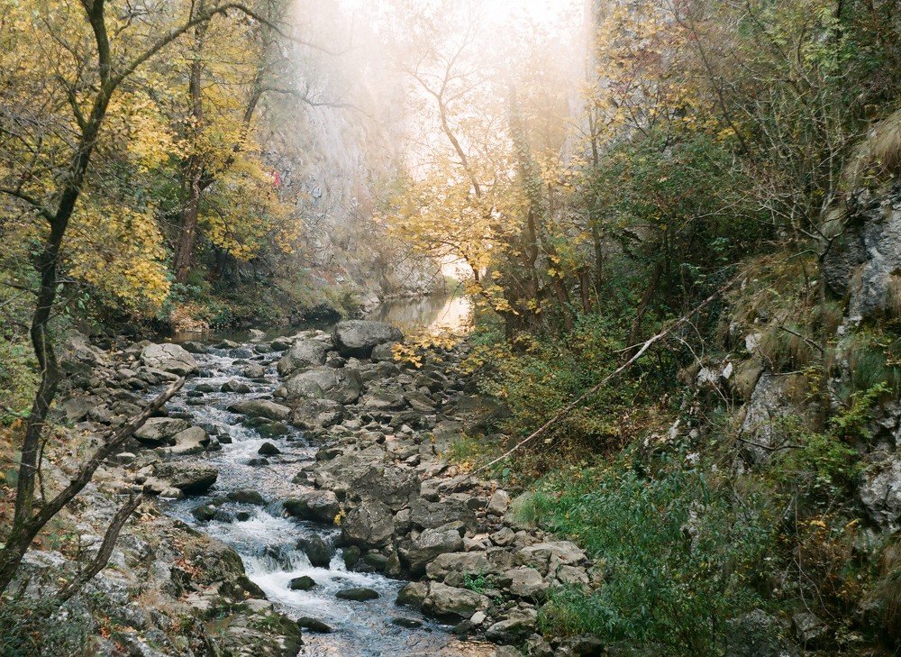 Photograph by Vasile Moldovanu