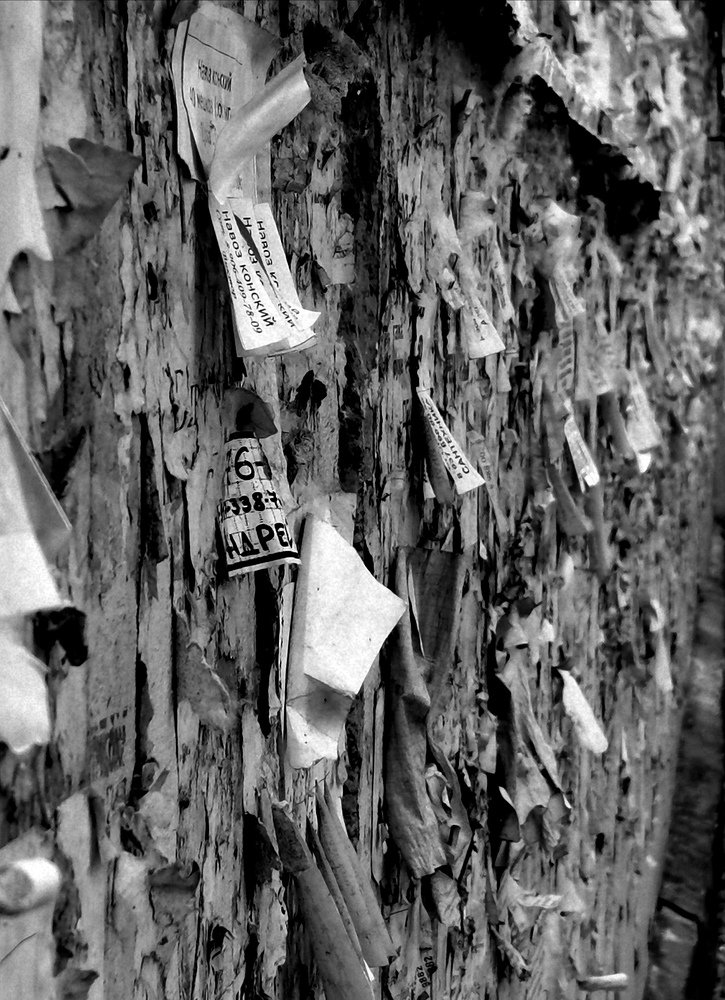 Photograph by Алексей