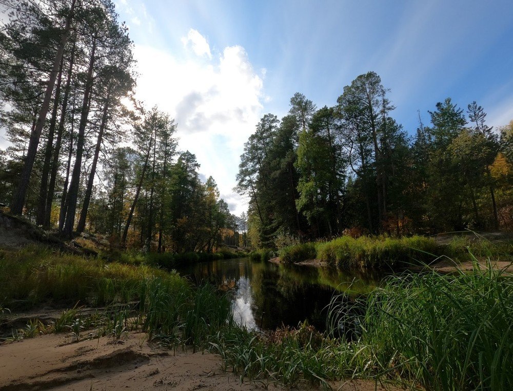 Photograph by Алёна Мазур