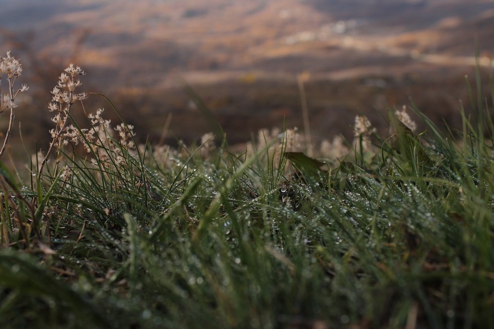 Photograph by Виктория Севастьянова