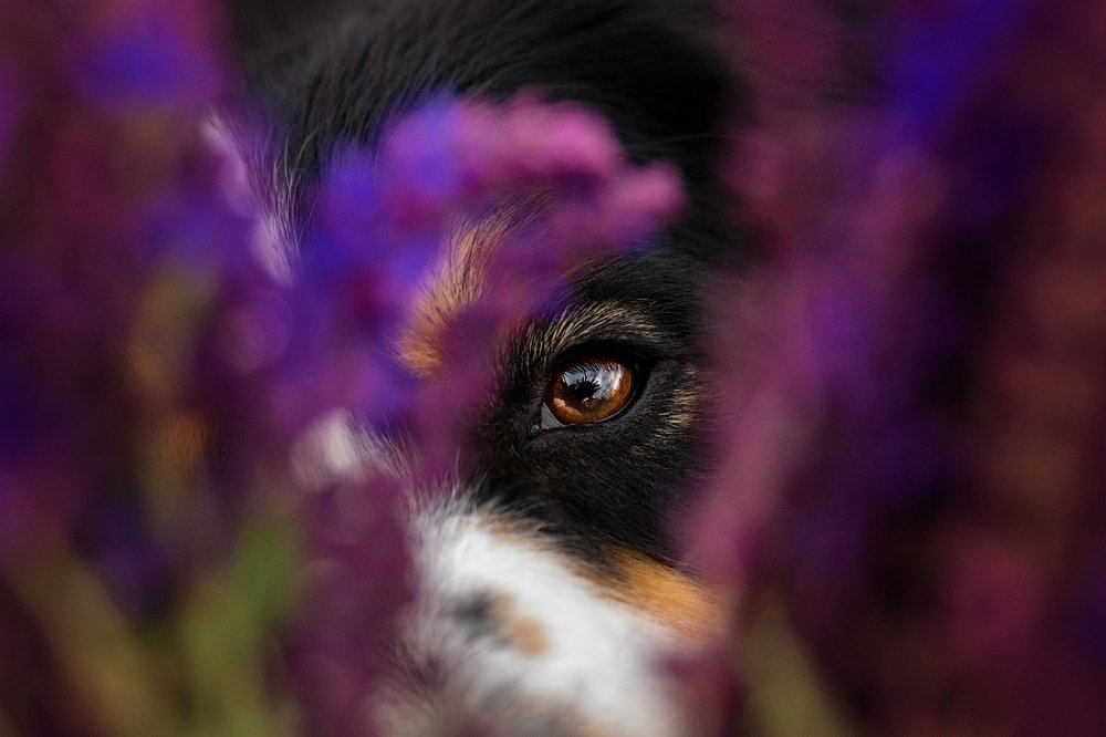 Photograph by Katerina Kutova