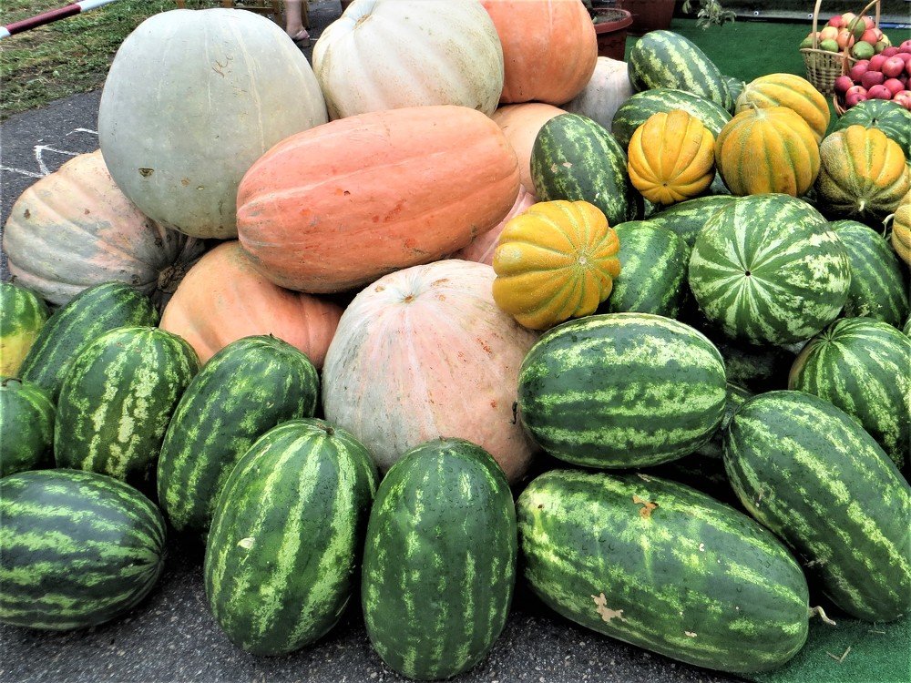 Photograph by Галина