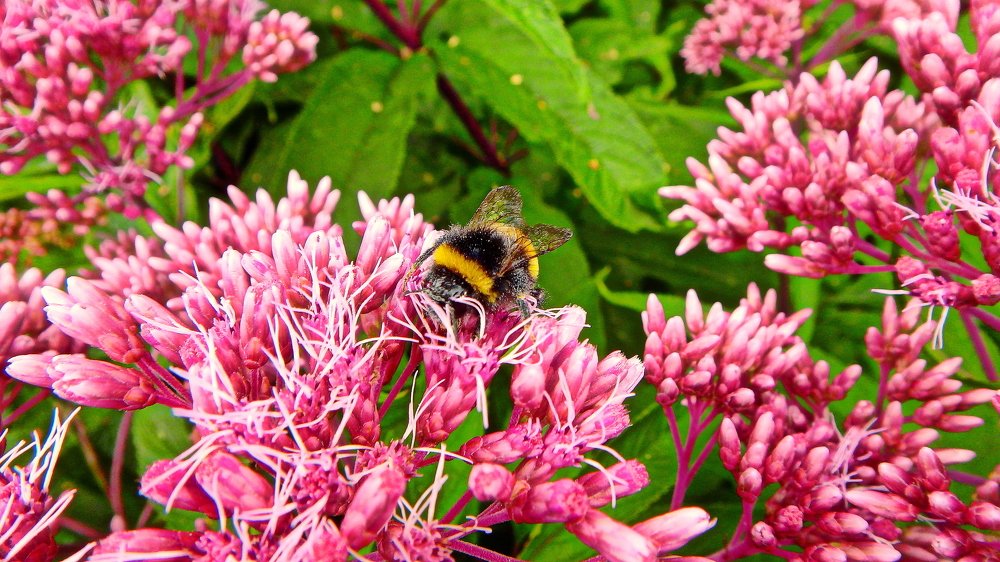 Photograph by Евгений Евдокимов