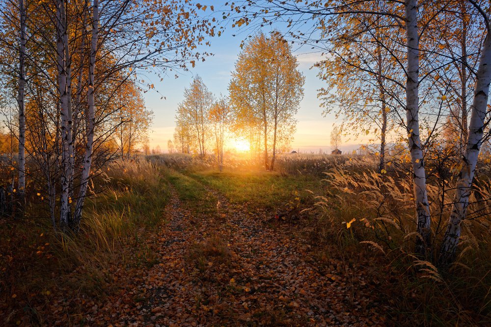 Рыжая осень