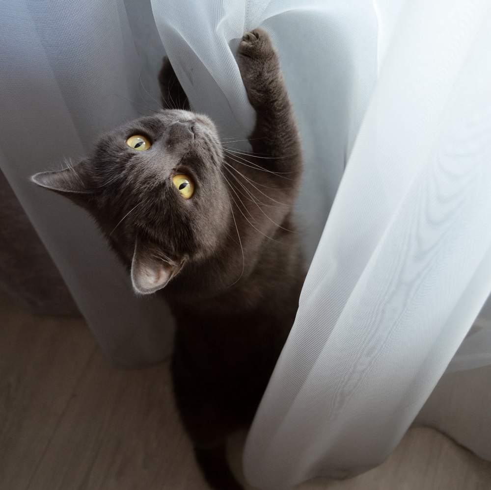 Photograph by Полина Трашко