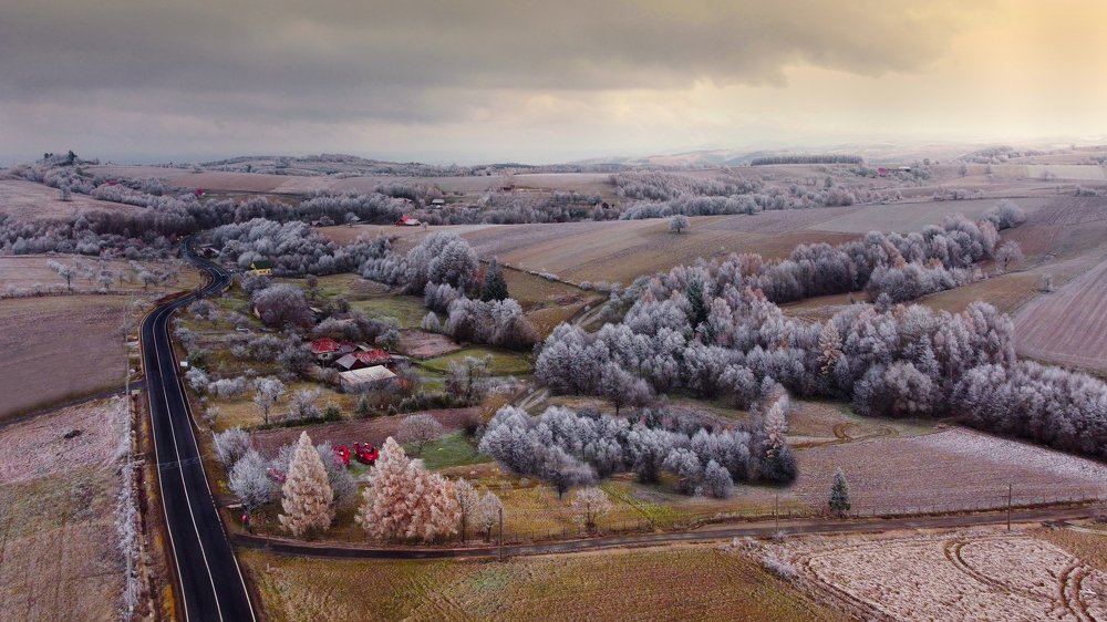 Photograph by Mihai Romeo Bogdan