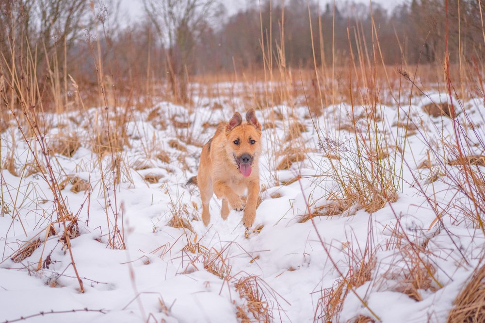Photograph by Дарья Меркулова