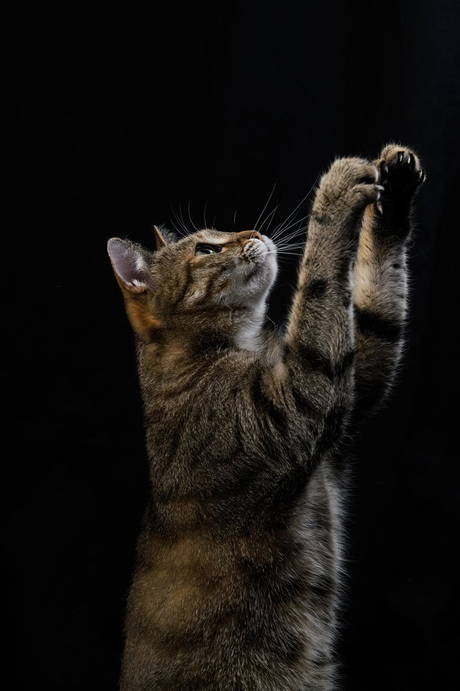 Photograph by Евгений Некрошевич