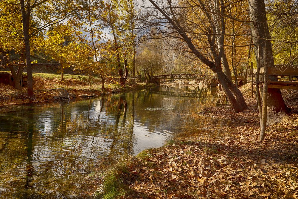 Photograph by Mukerrem Kurtoglu