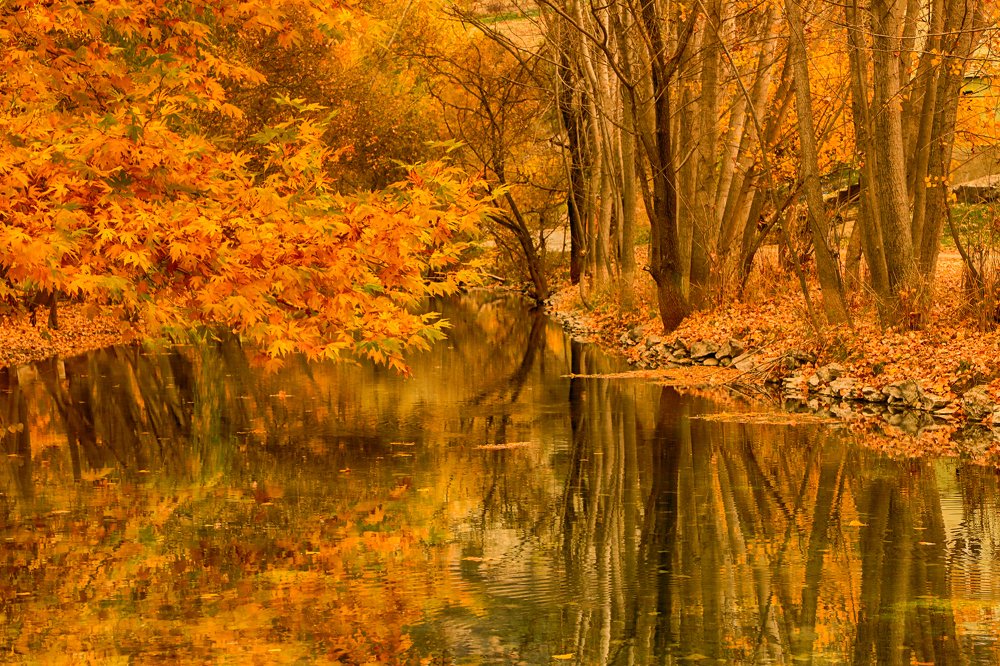 Photograph by Mukerrem Kurtoglu