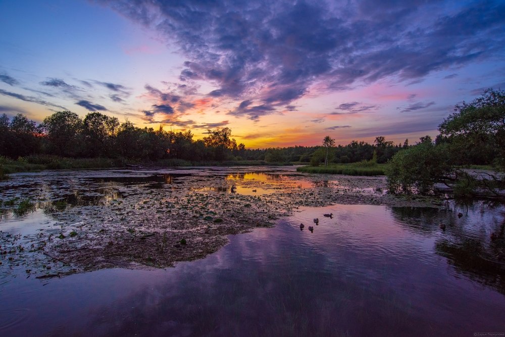 Photograph by Дарья Меркулова