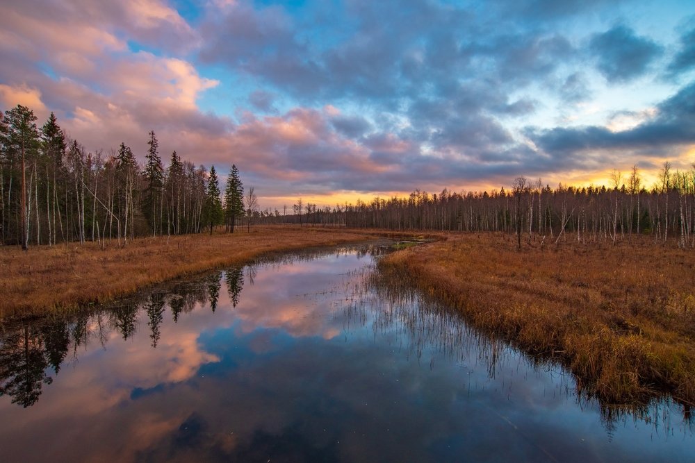 Закат в гатчинском парке