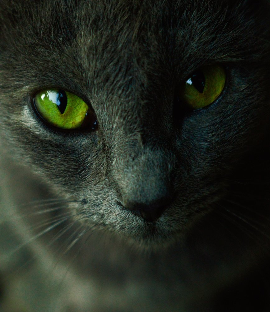 Photograph by Константин Бокарев