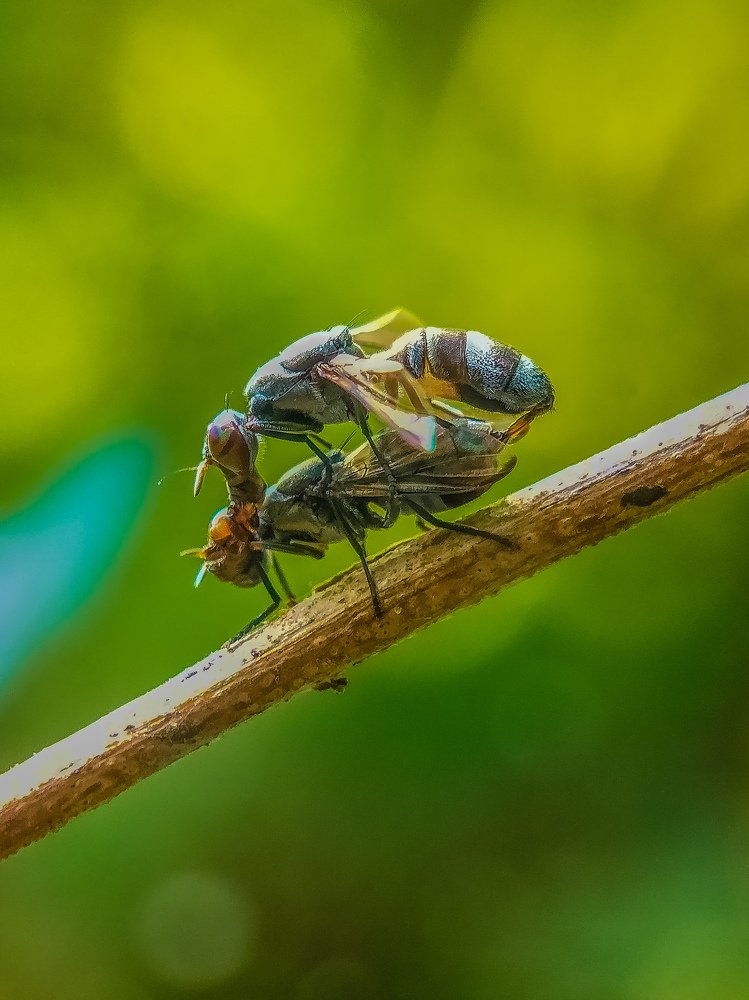 Photograph by Rahul Dey
