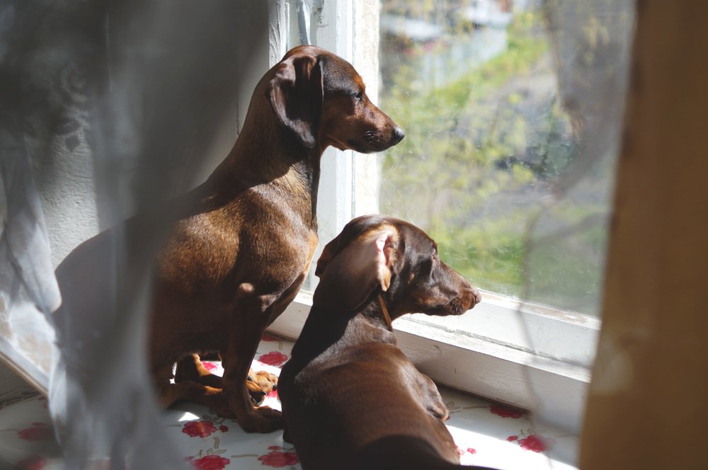 Photograph by Наталия Андреева