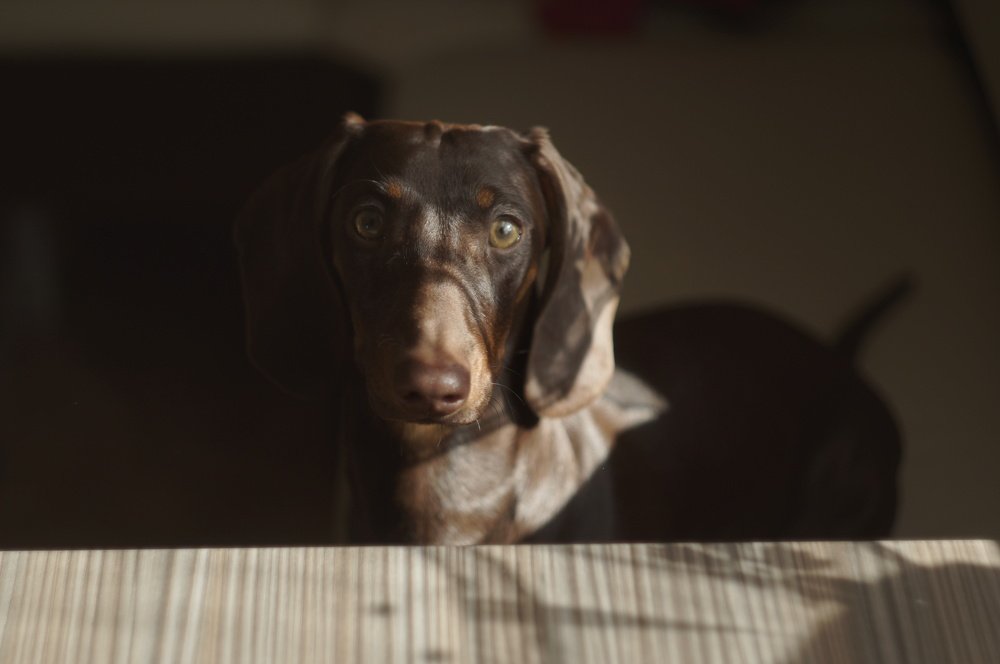 Photograph by Наталия Андреева