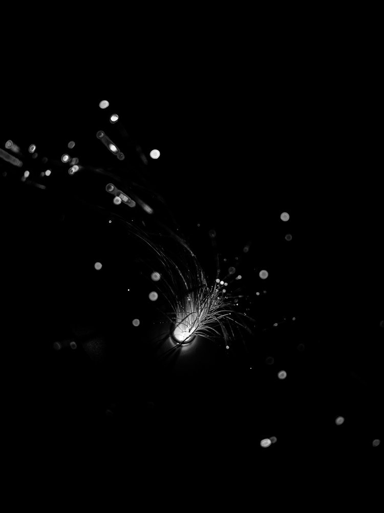 Фотография автора Оля Алехнович