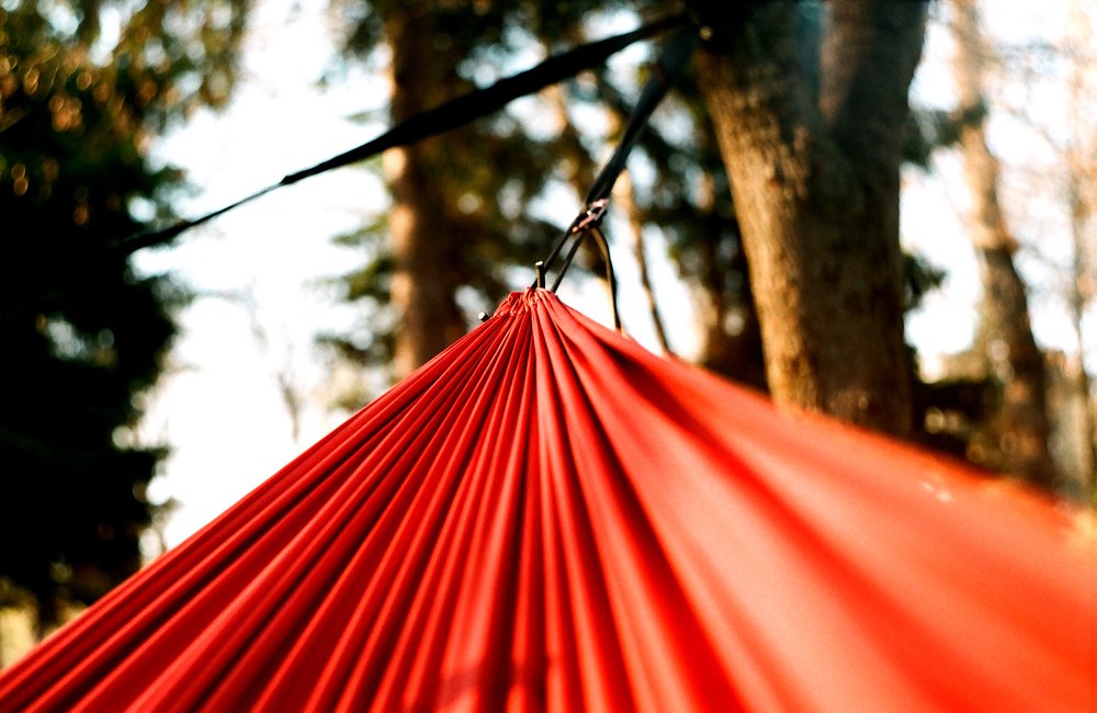 Photograph by Vasile Moldovanu