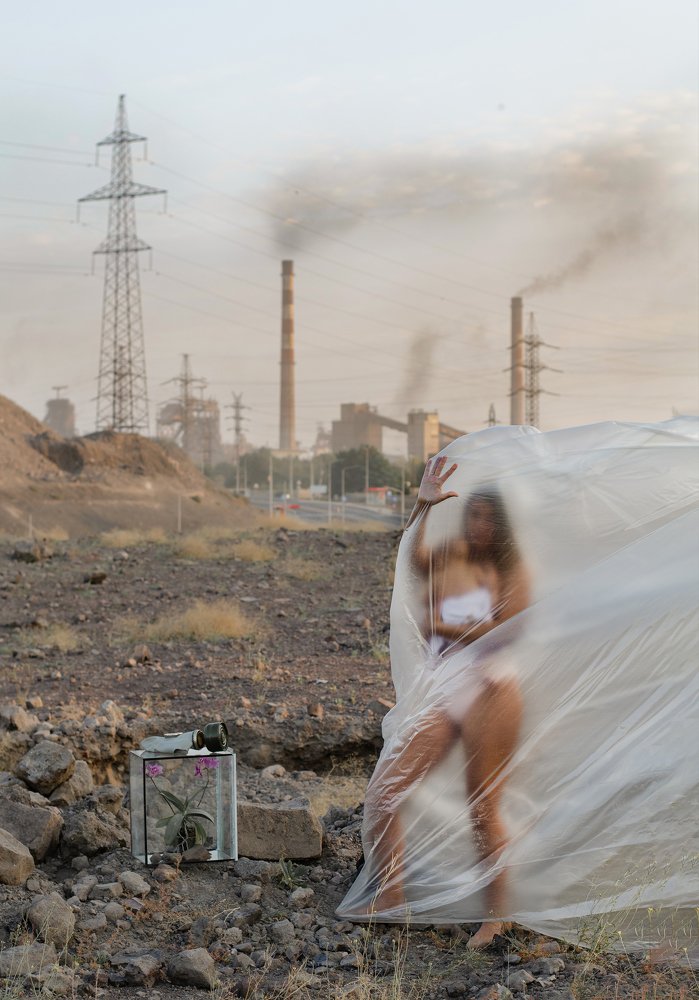 Photograph by Алина Петрашина