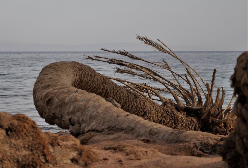 Photograph by Ольга Струкалина