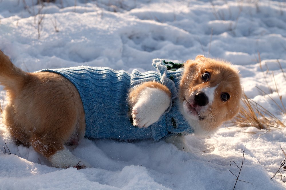 Photograph by Екатерина Стецова