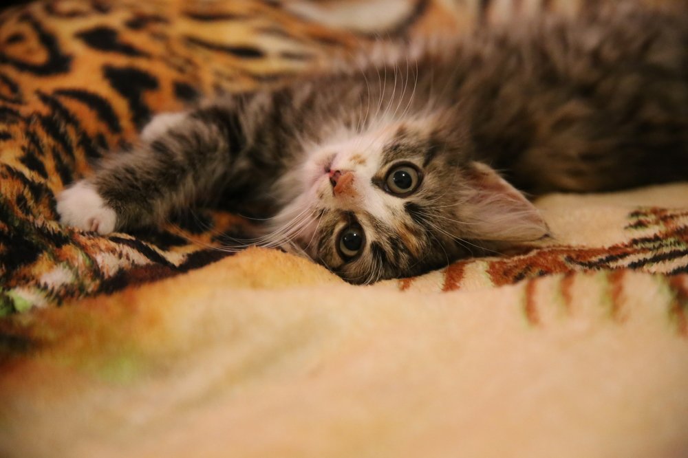 Photograph by Инна Юдина