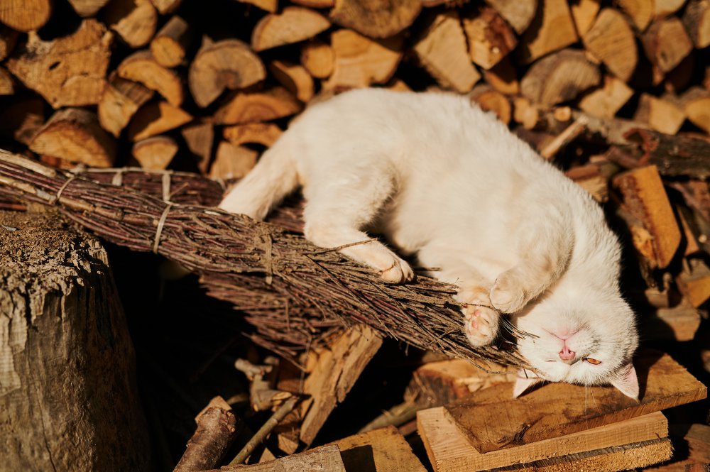 Photograph by Bartek Ziomek