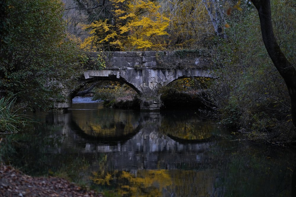 Photograph by Алина Игошева