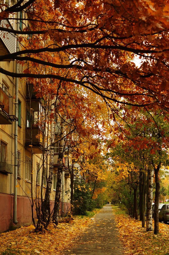 Photograph by Наталия Андреева