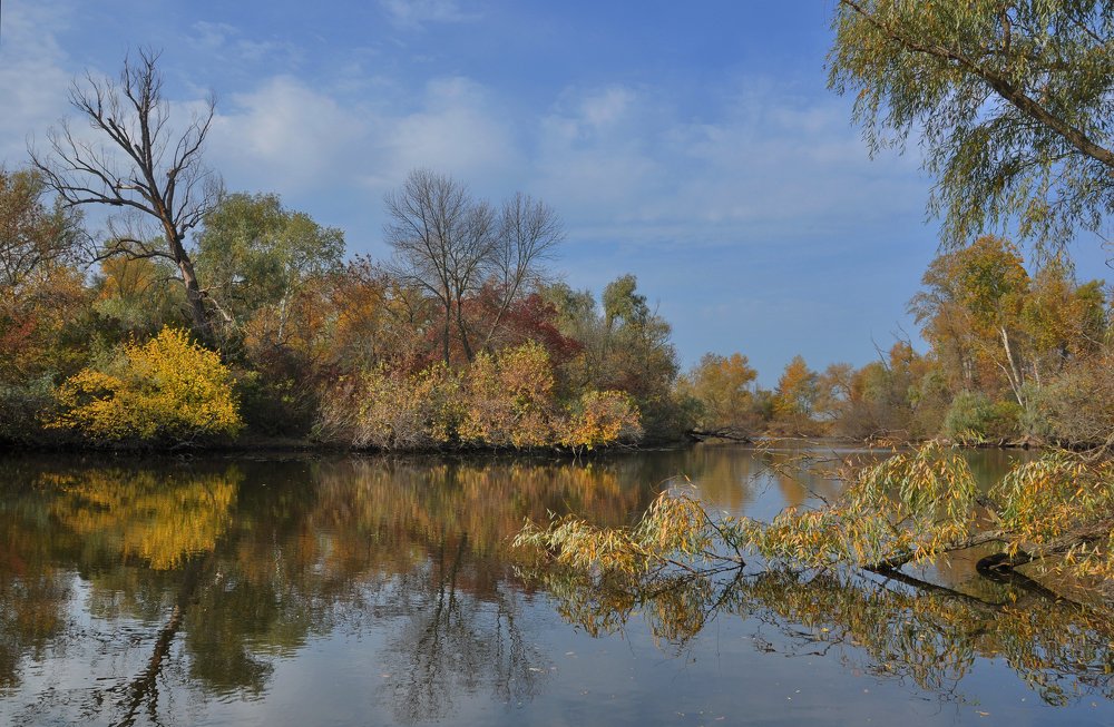 Photograph by Александр Штифман