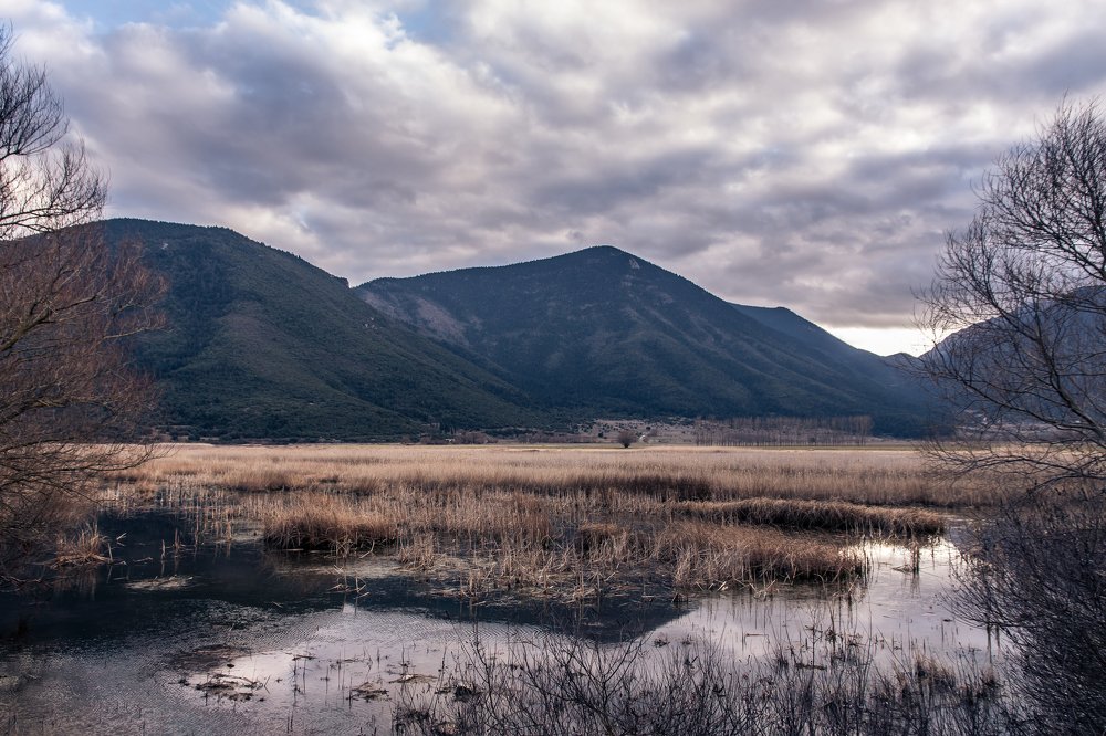 Photograph by Panagiotis Grammatikakis