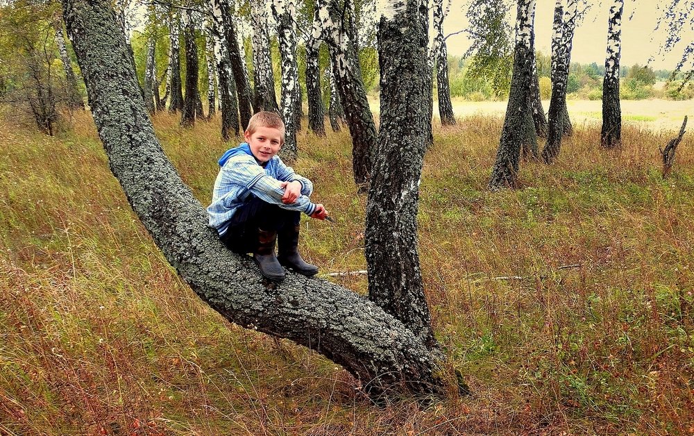 Осенний сбор грибов