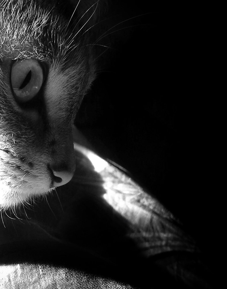 Photograph by Людмила М