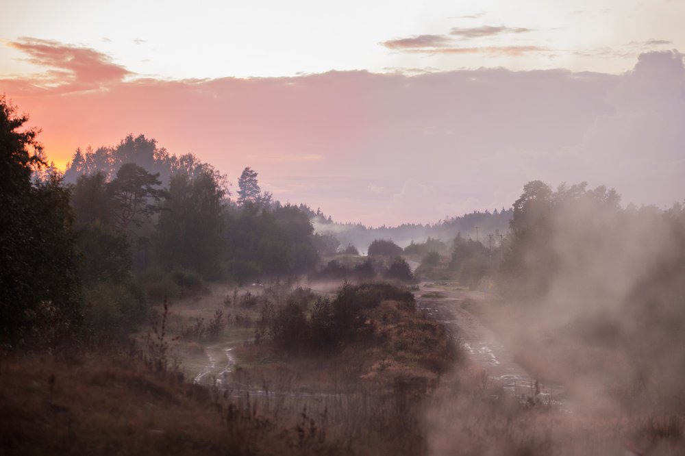 Photograph by Ирина Богатырева