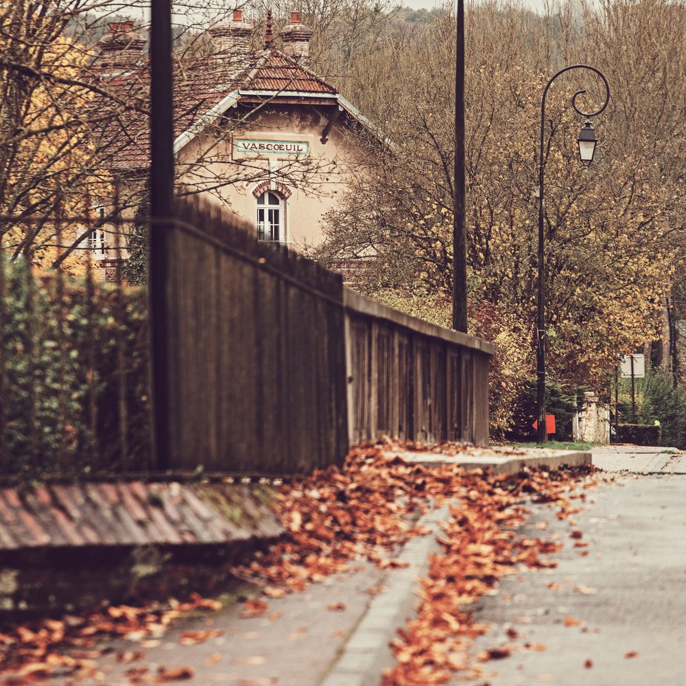 Photograph by Ольга Воронова