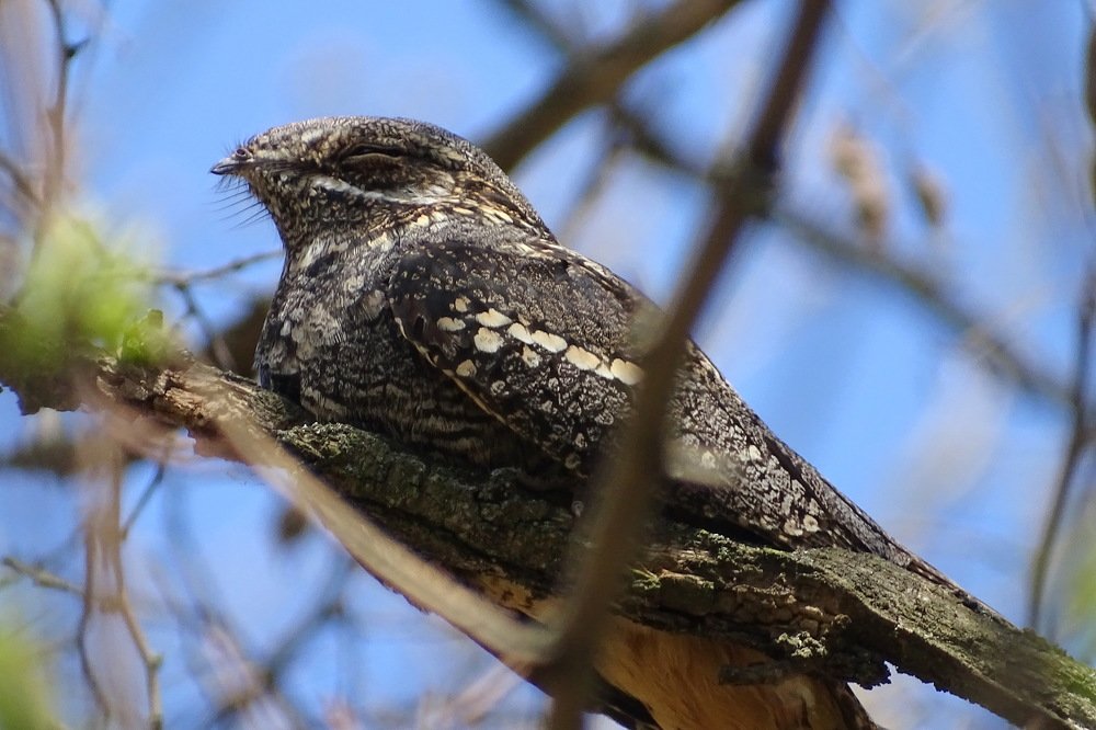 Photograph by Татьяна Калугина